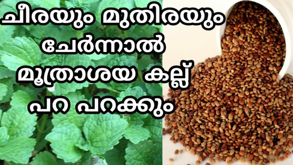 Moothrathil kallu ottamooli malayalam Kidney stone natural treatment